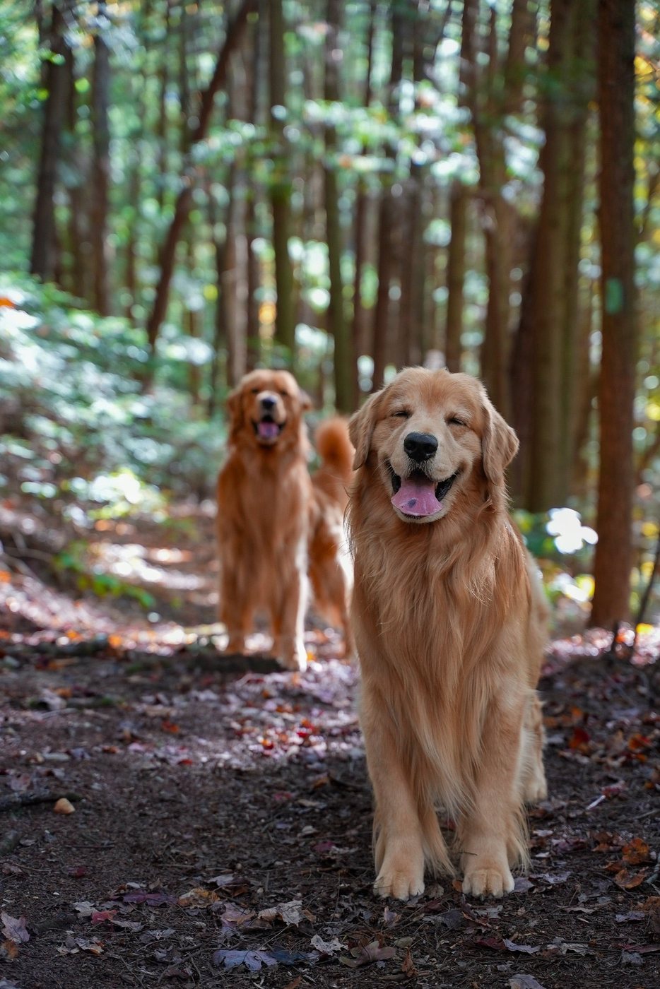 Tucker smiling on a forest trail with his son Todd standing behind him